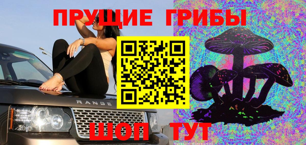 Псилоцибиновые грибы Psilocybine cubensis  Вход с VPN  Псилоцибиновые грибы мицелий  Шали 