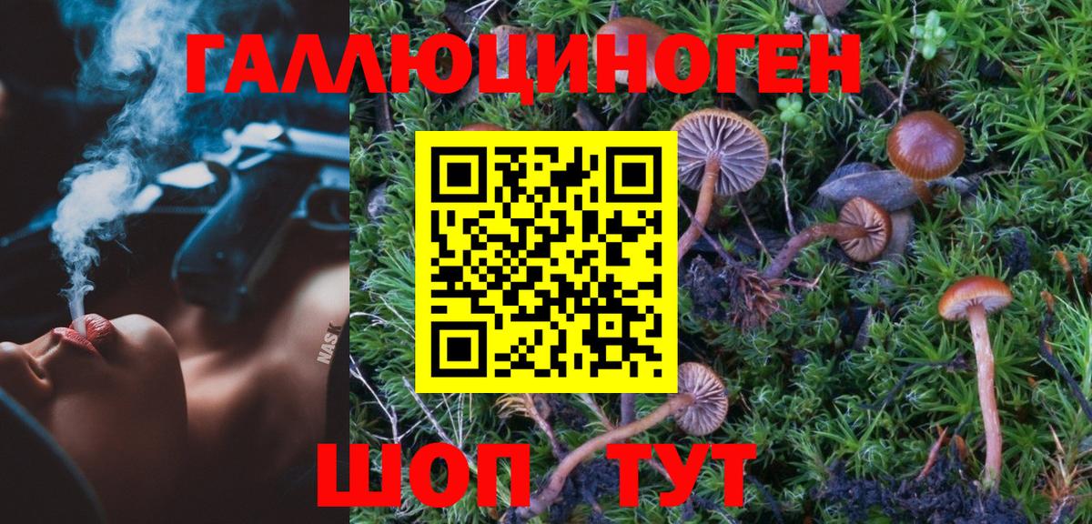 Псилоцибиновые грибы прущие грибы Шали